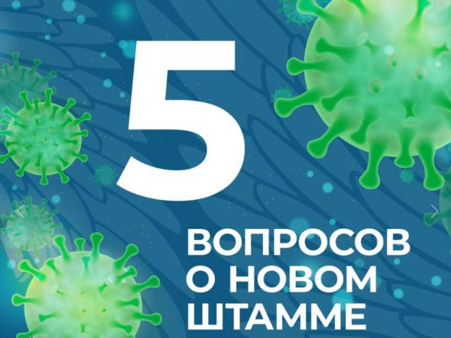 В России стремительно распространяется новый штамм коронавируса – омикрон